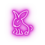 Anyadaga Rabbit